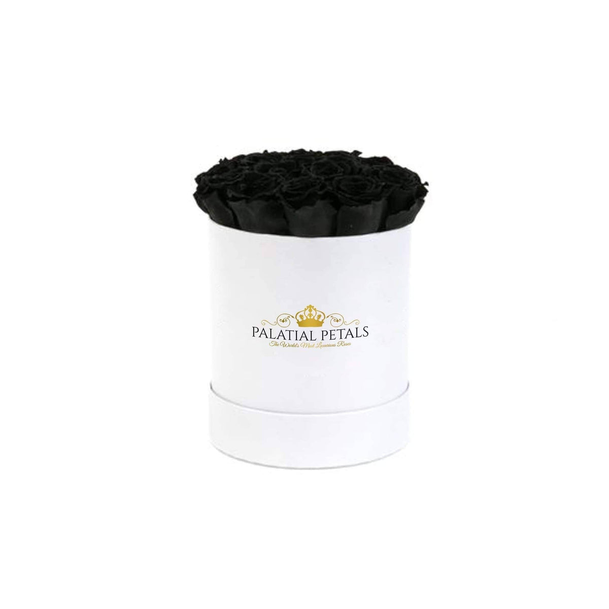Mini Black Magic Preserved Roses in Petite Round Gift Box