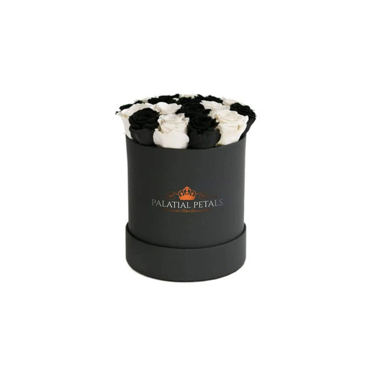 Mini Black Magic & Snow White Preserved Roses in Round Gift Box