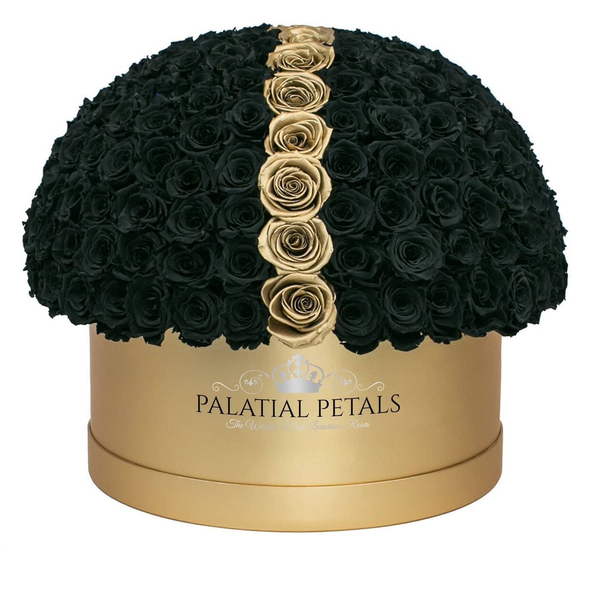 Black Magic & 24K Gold Preserved Roses in Dome Box