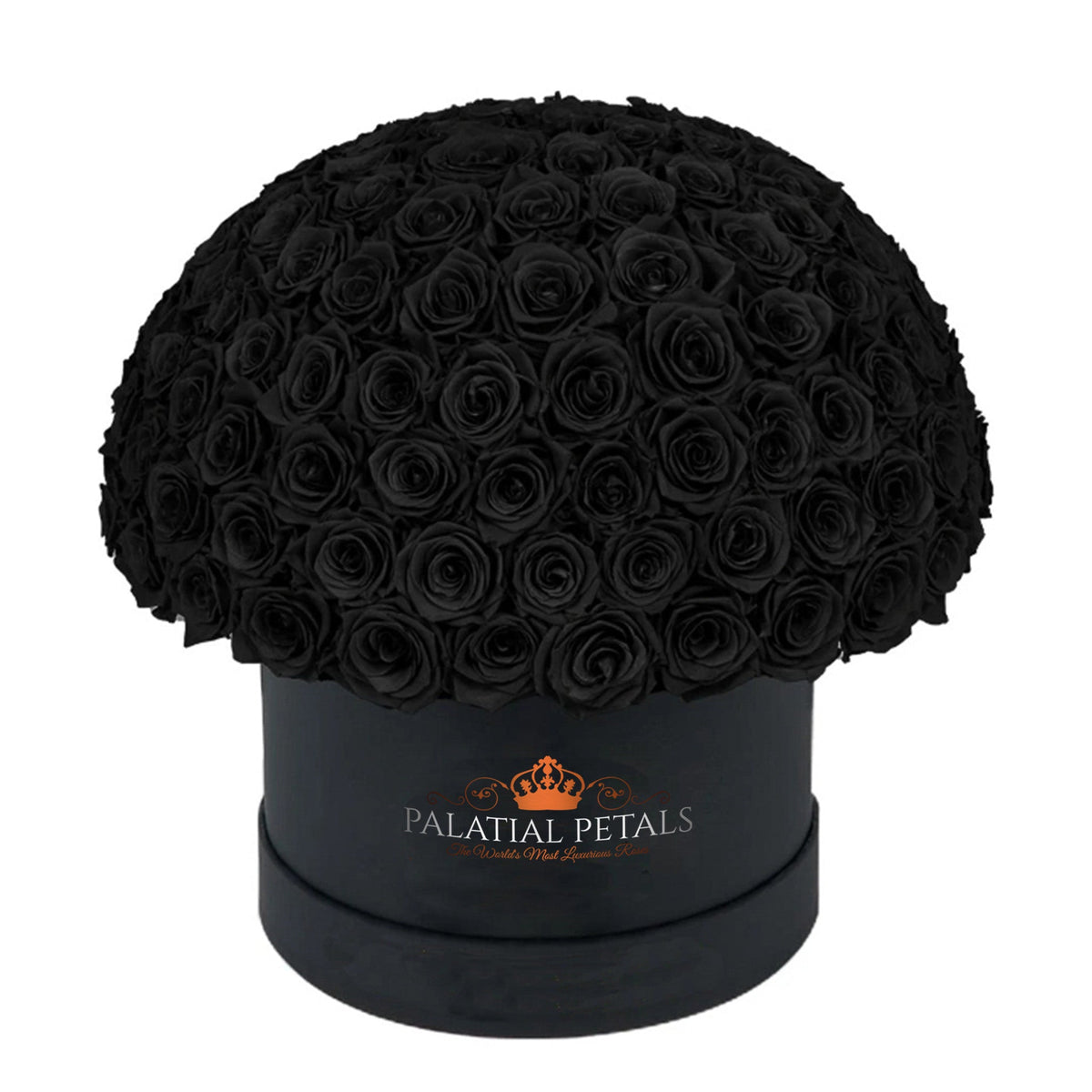 Large Black Preserved Roses in Dome Box