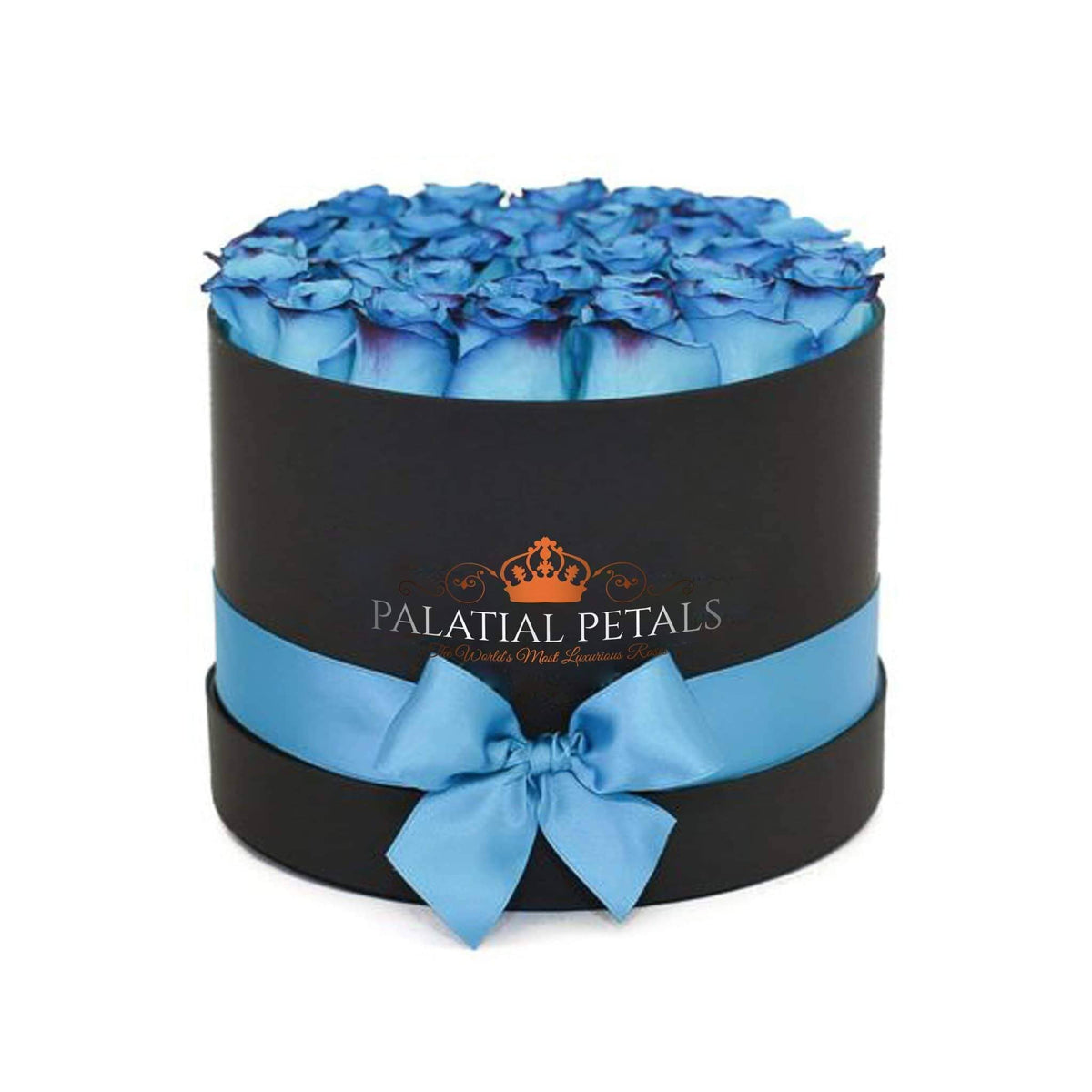 Grand Blue Coral Preserved Roses in Round Gift Box