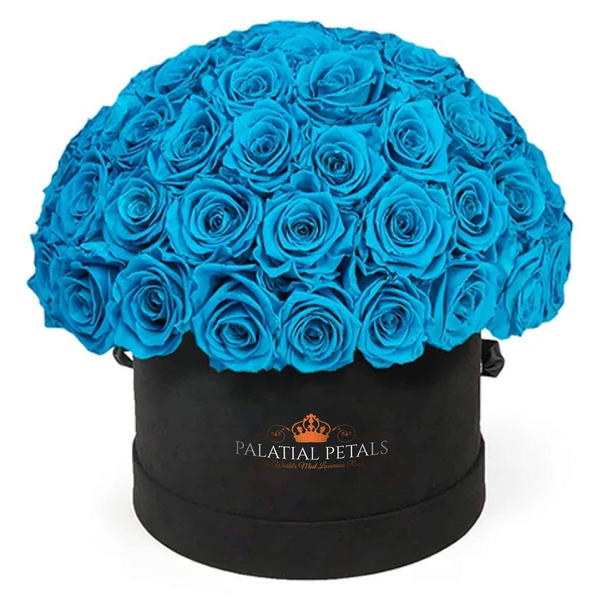 Large Blue Preserved Roses in Dome Box