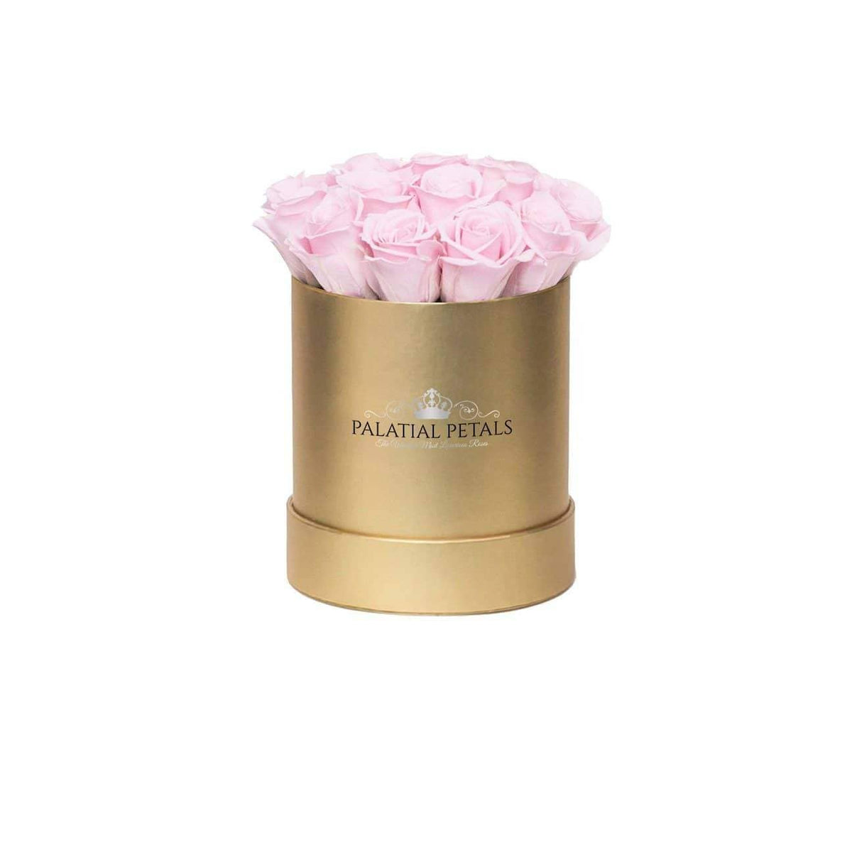 Mini Bridal Pink Preserved Roses in Round Gift Box for Wedding