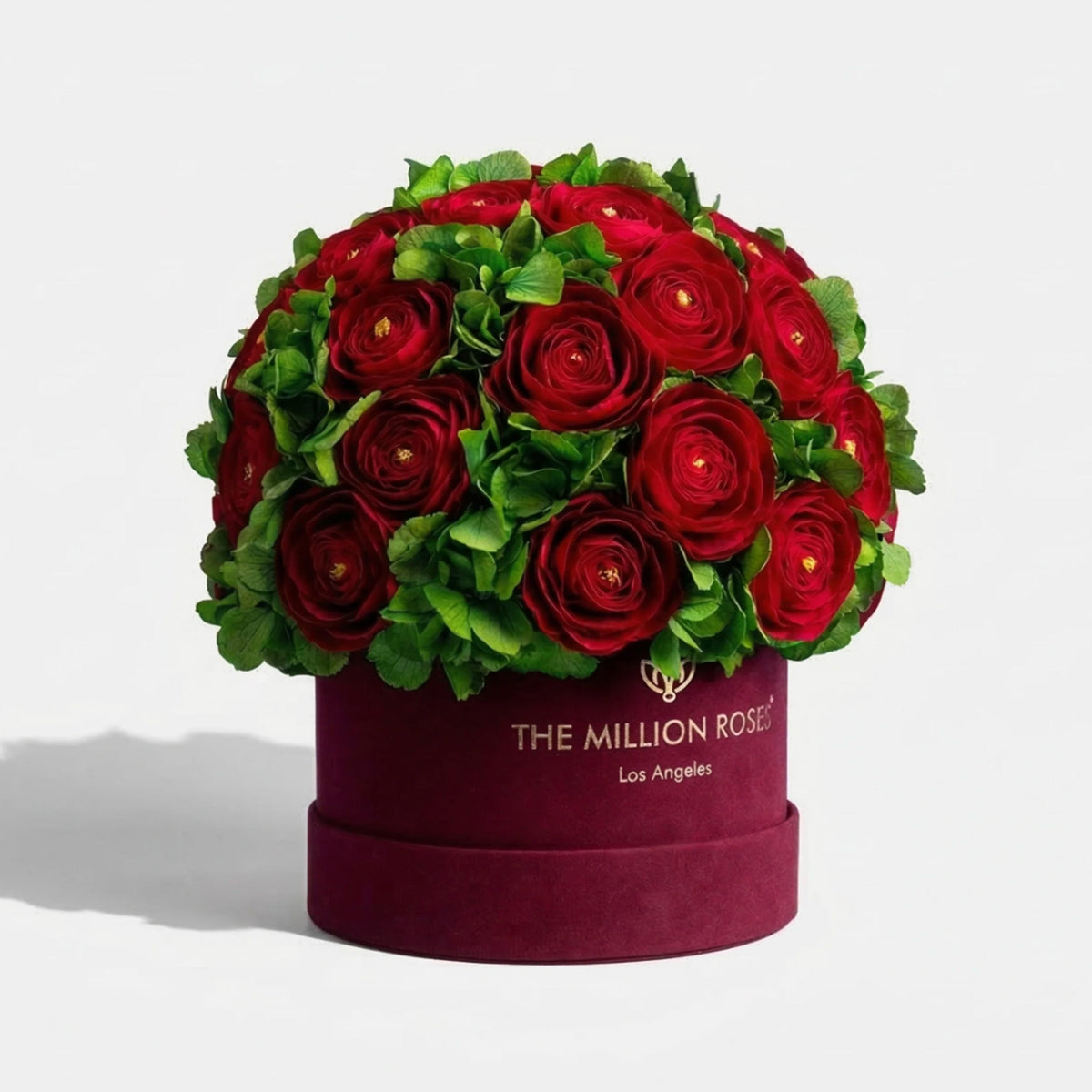 Red & Green Preserved Hydrangeas in Suede Gift Box