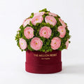 Pink & Green Preserved Hydrangeas in Suede Gift Box