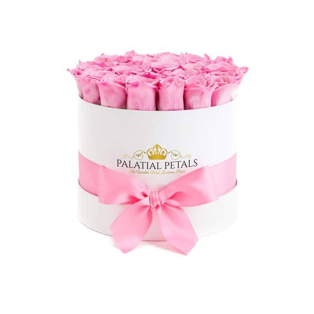 Candy Pink Preserved Roses in Classic Round Gift Box