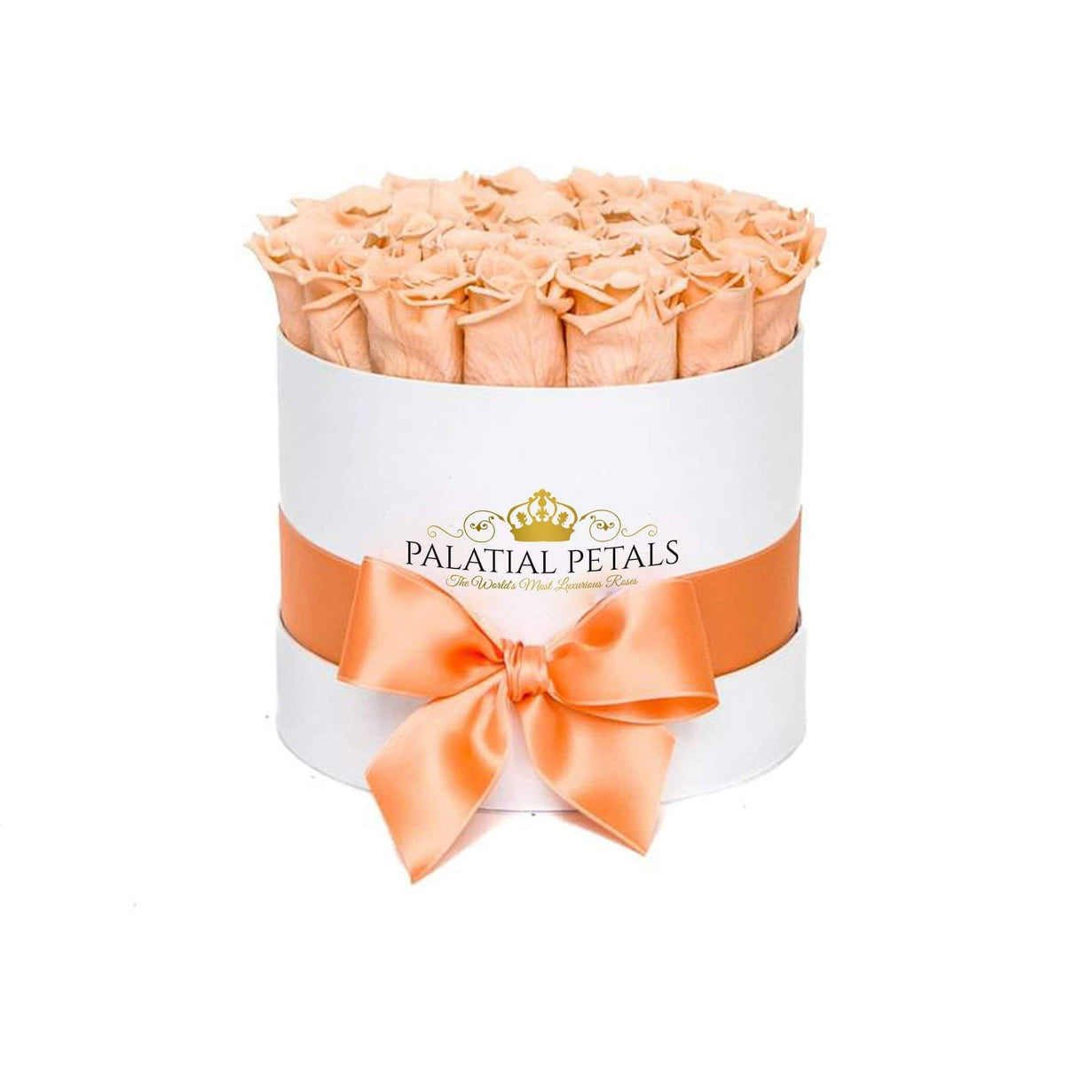 Champagne Preserved Roses in Classic Round Gift Box – Style 2