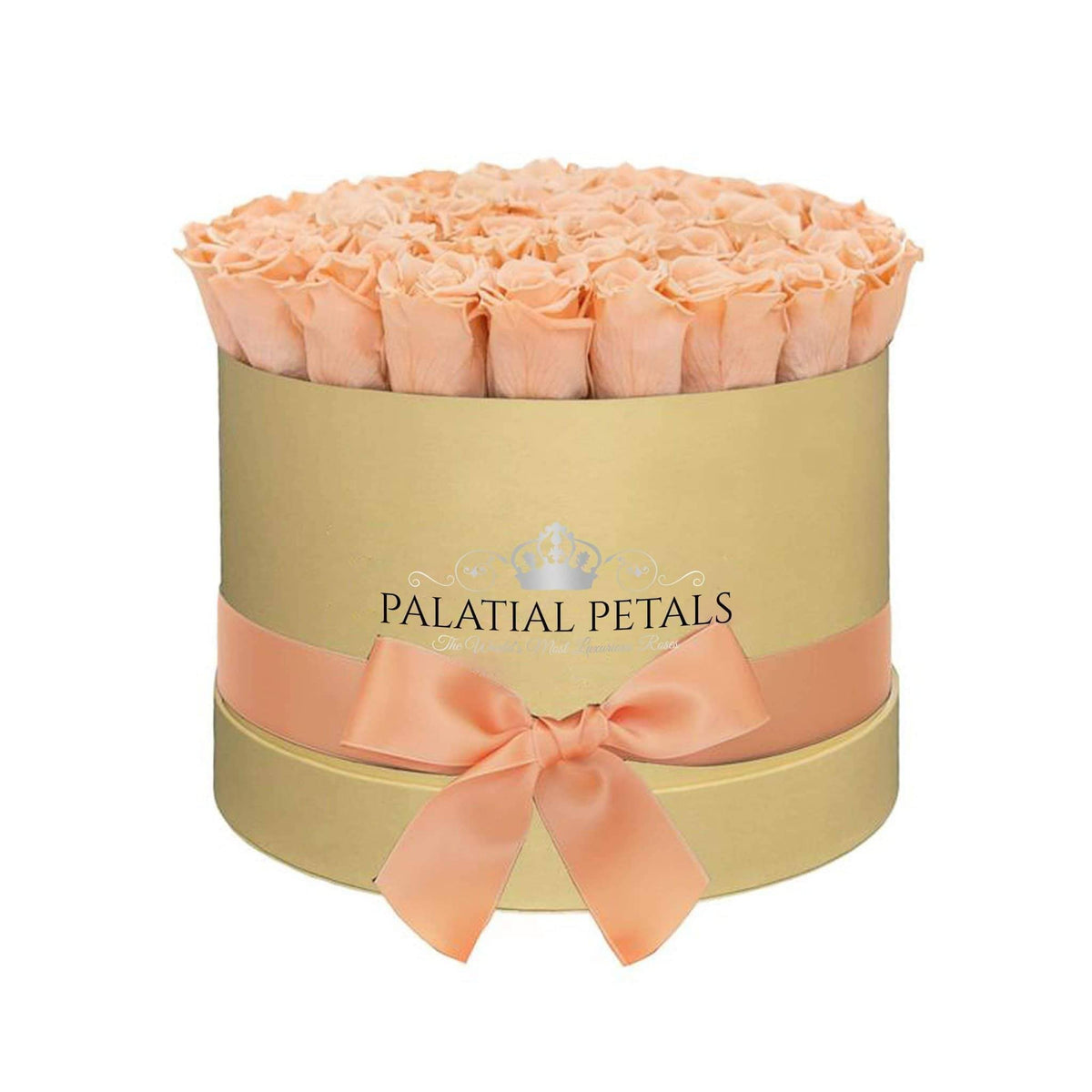Grand Champagne Preserved Roses in Round Gift Box – Style 2