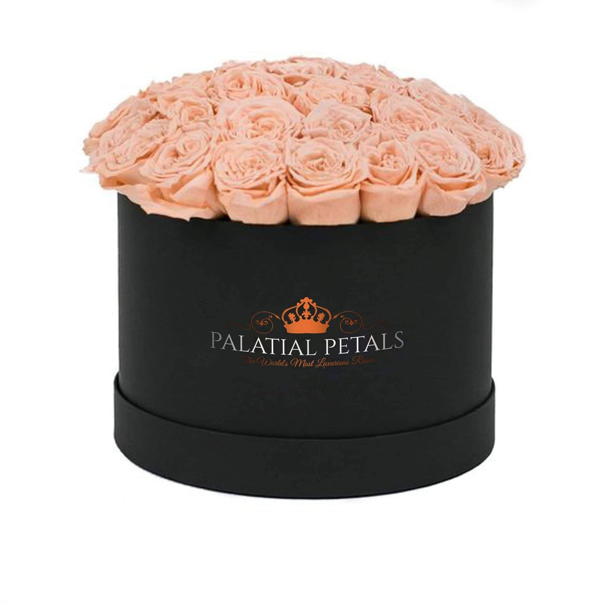 Grand Champagne Preserved Roses in Round Gift Box