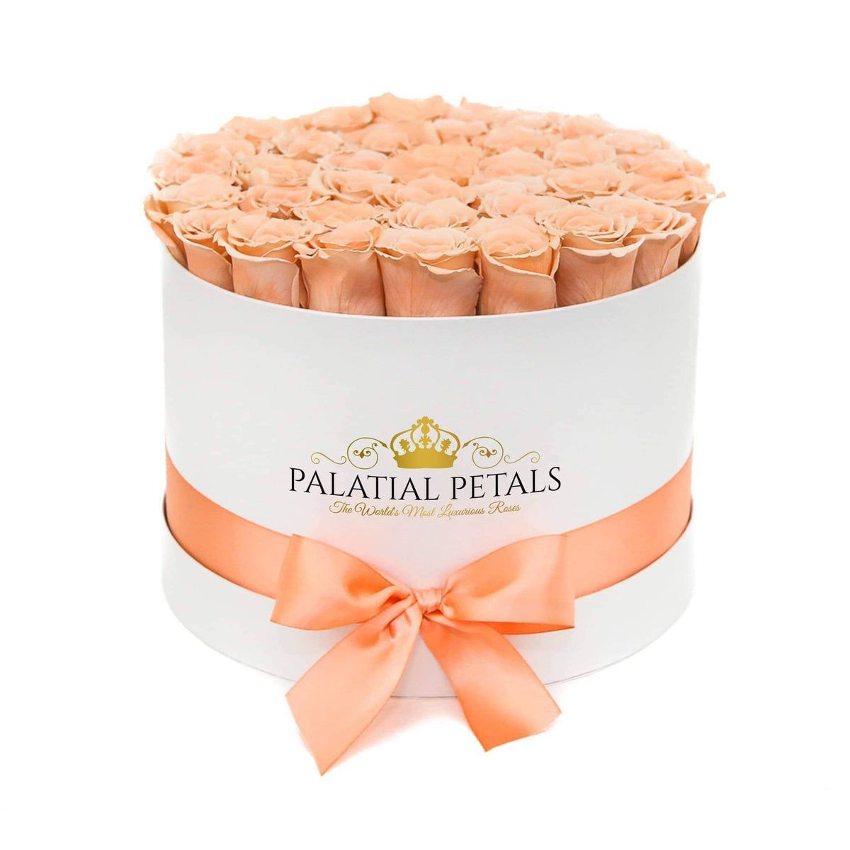 36-38 Champagne Preserved Roses in Rectangle Gift Box