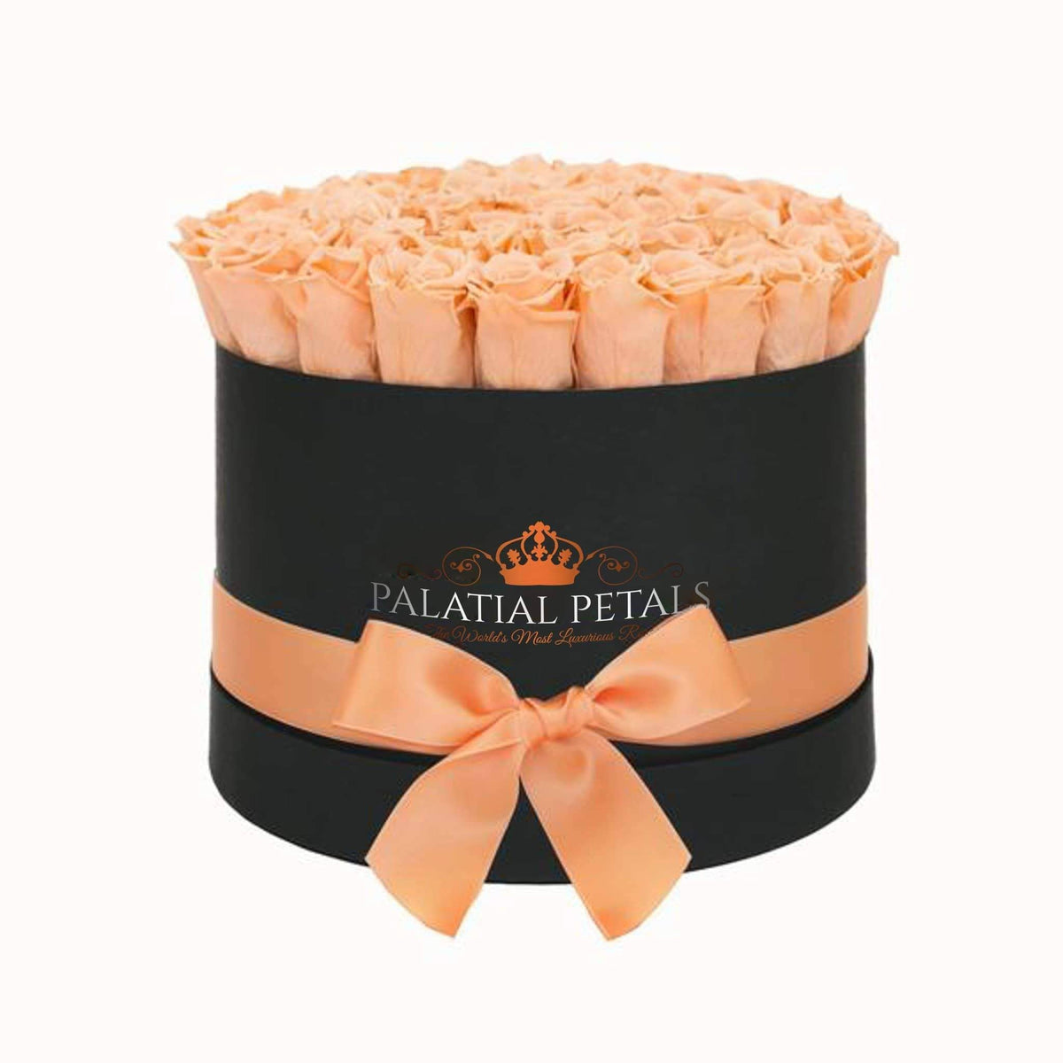 Large Champagne Preserved Roses in Round Gift Box