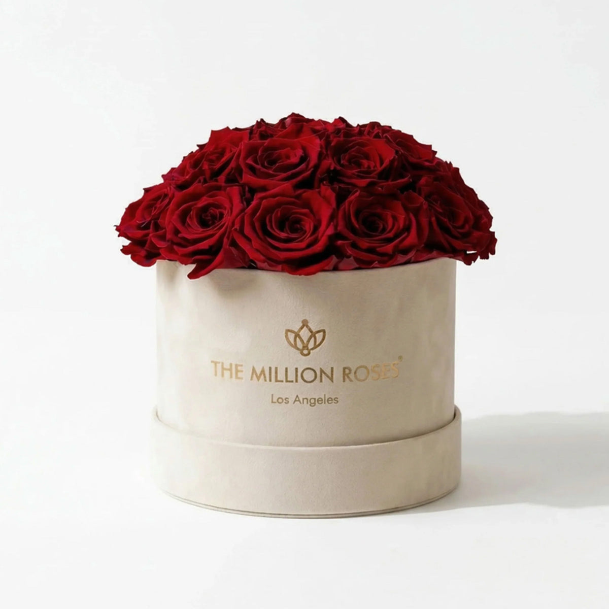 20-22 Red Preserved Roses in Suede Dome Box