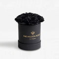 Single Black Preserved Rose in Black Gift Box