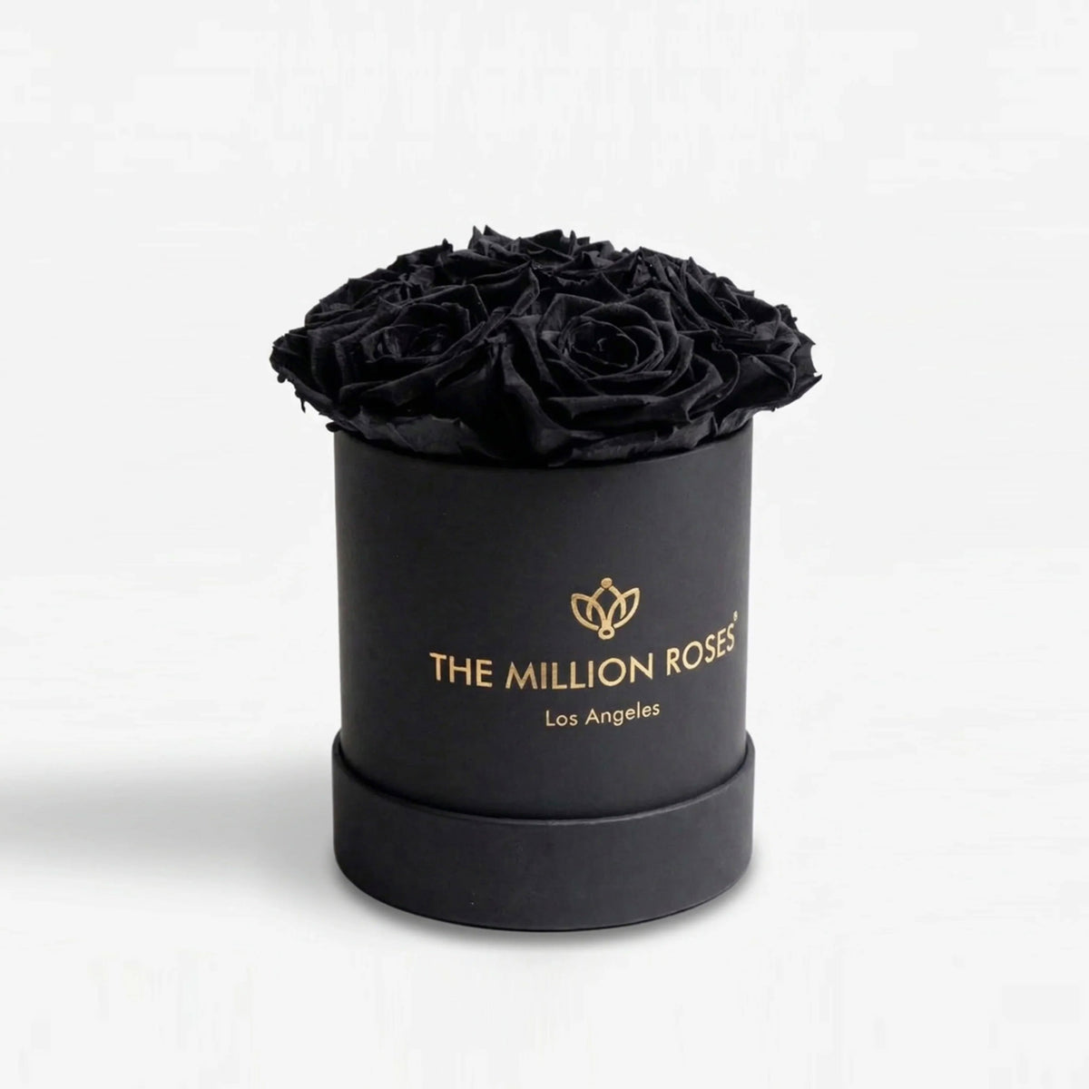 Single Black Preserved Rose in Black Gift Box