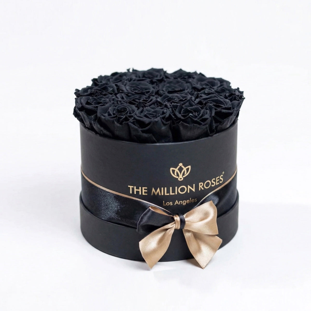 14-15 Black Preserved Roses in Black Gift Box