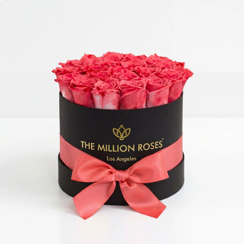 14-15 Coral Preserved Roses in Black Gift Box