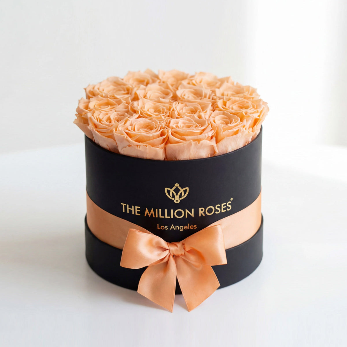 14-15 Peach Preserved Roses in Black Gift Box