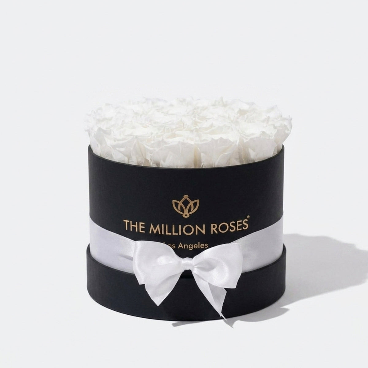 14-15 White Preserved Roses in Black Gift Box