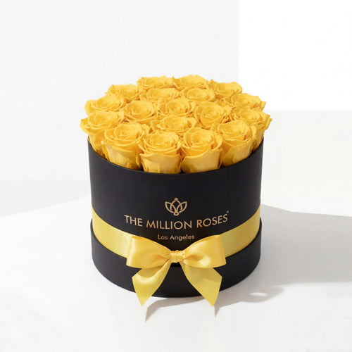 14-15 Yellow Preserved Roses in Black Gift Box