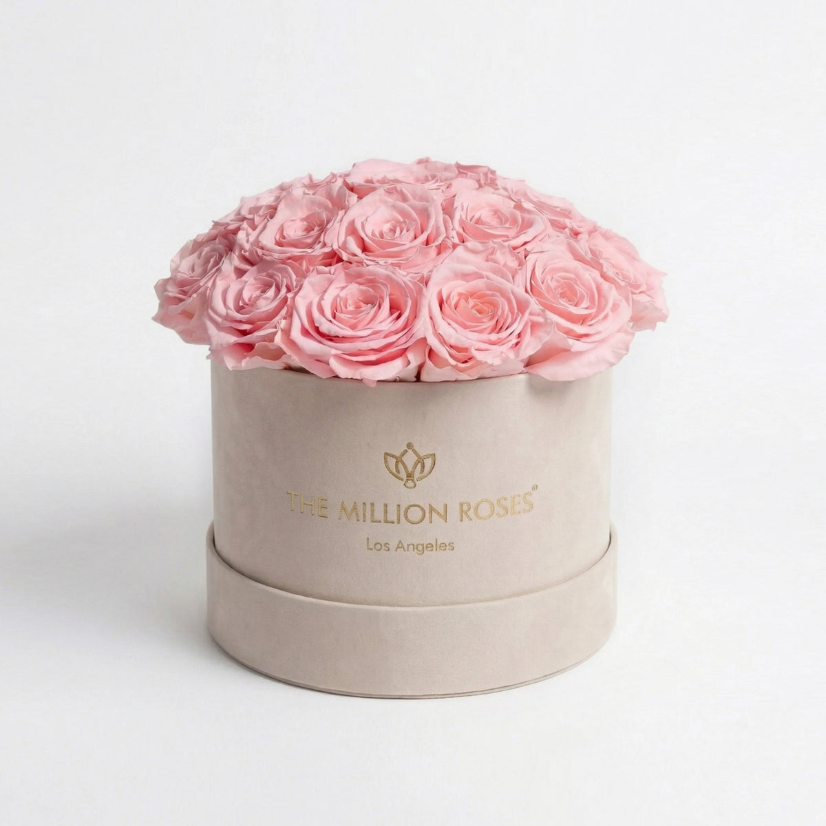 Pink Preserved Roses in Classic Beige Suede Dome Box