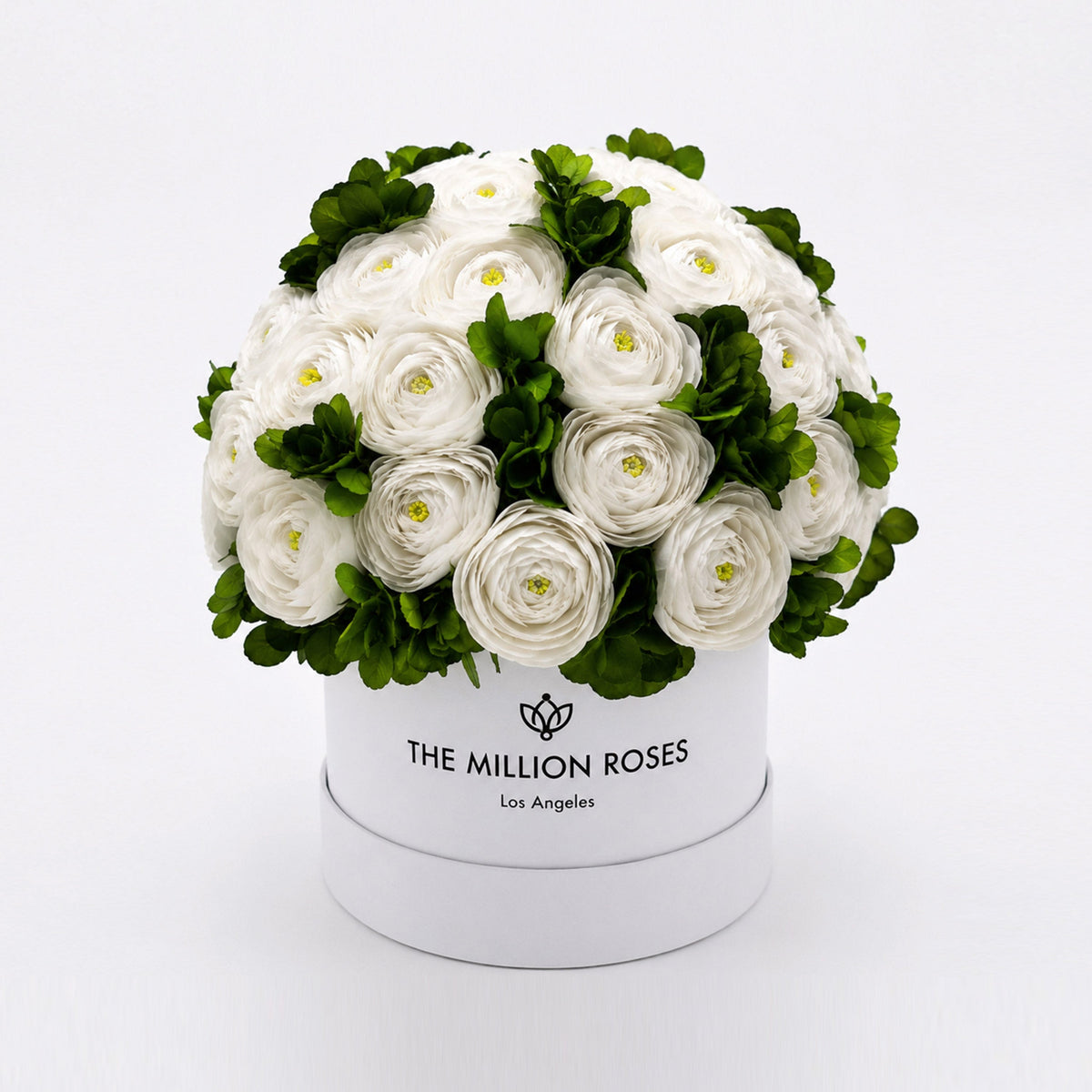 Green Preserved Hydrangeas in Classic White Gift Box – Style 2