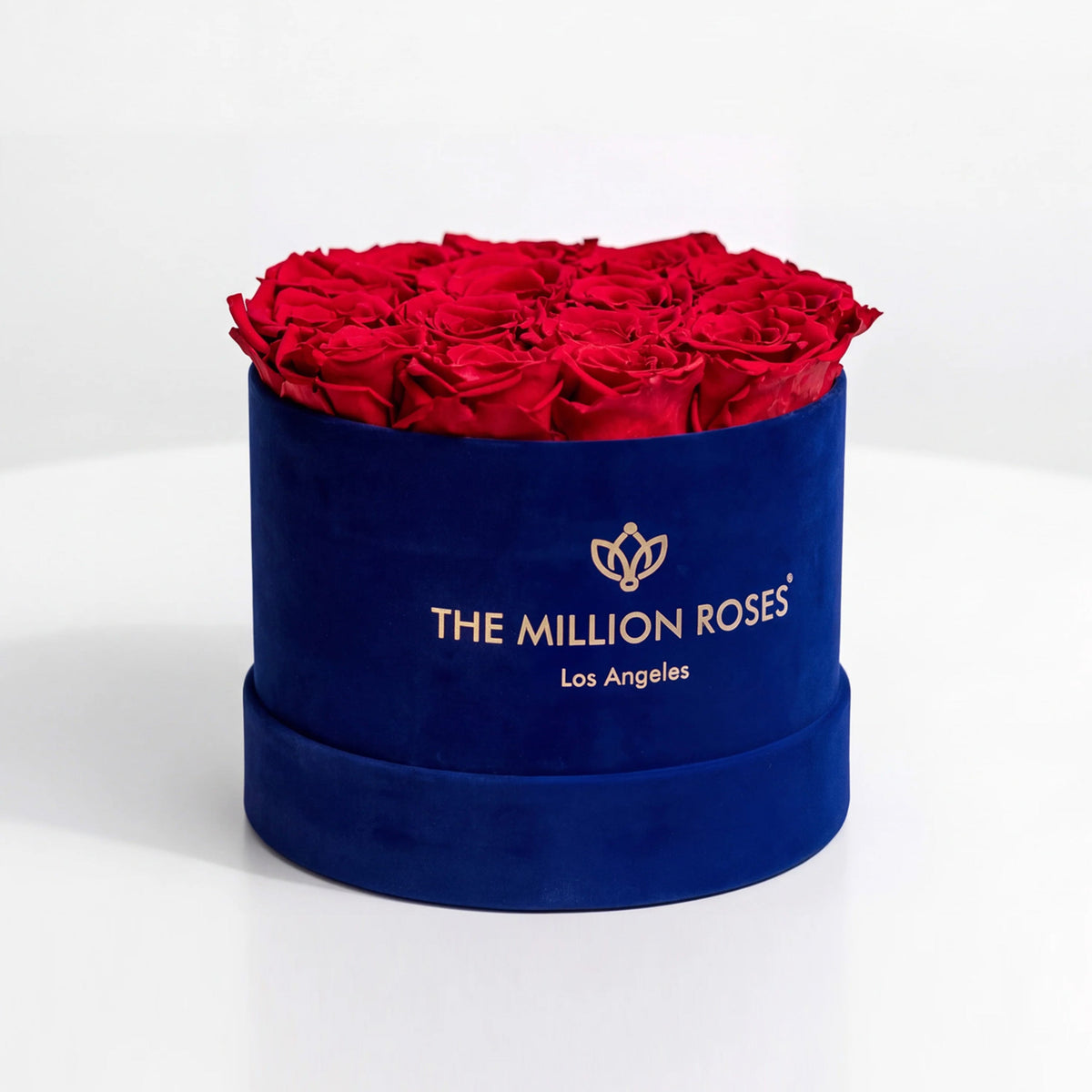 14-15 Red Preserved Roses in Suede Gift Box