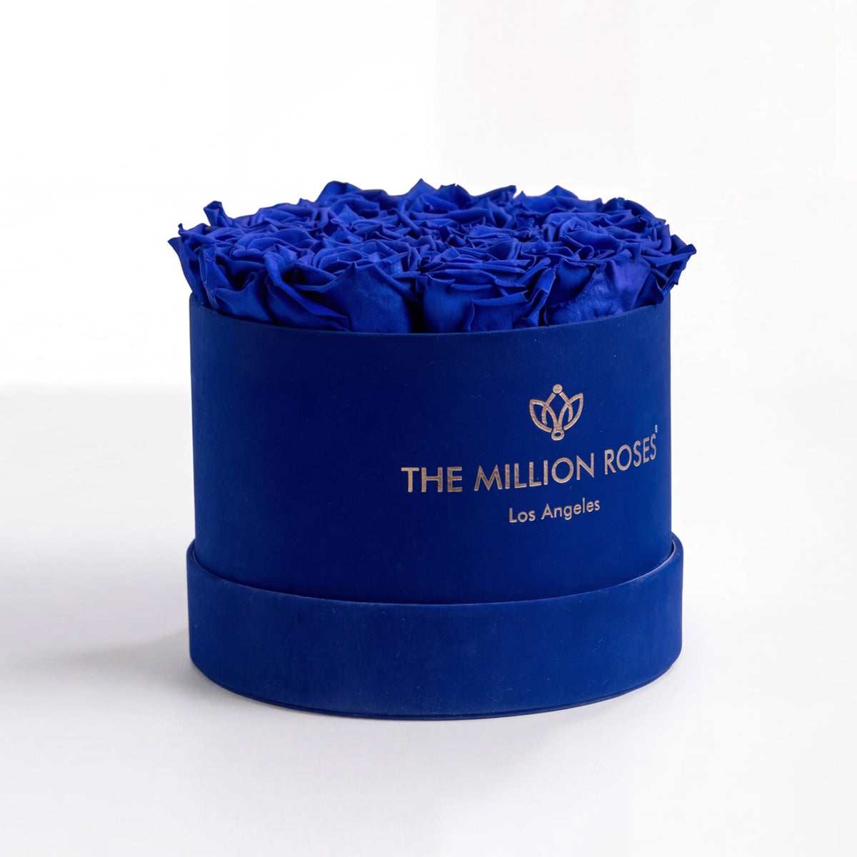 Royal Blue Preserved Roses in Classic Blue Suede Gift Box – Style 2