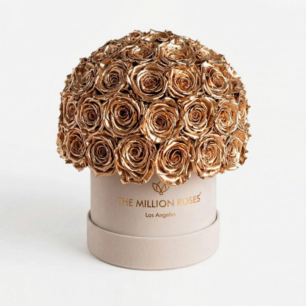 70-74 Gold Preserved Roses in Suede Dome Box