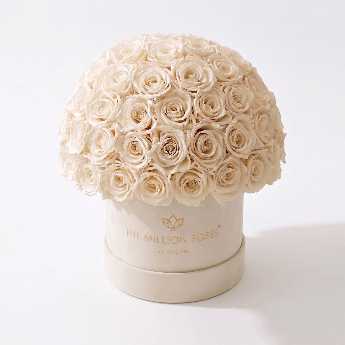 70-74 White Preserved Roses in Beige Suede Dome Box