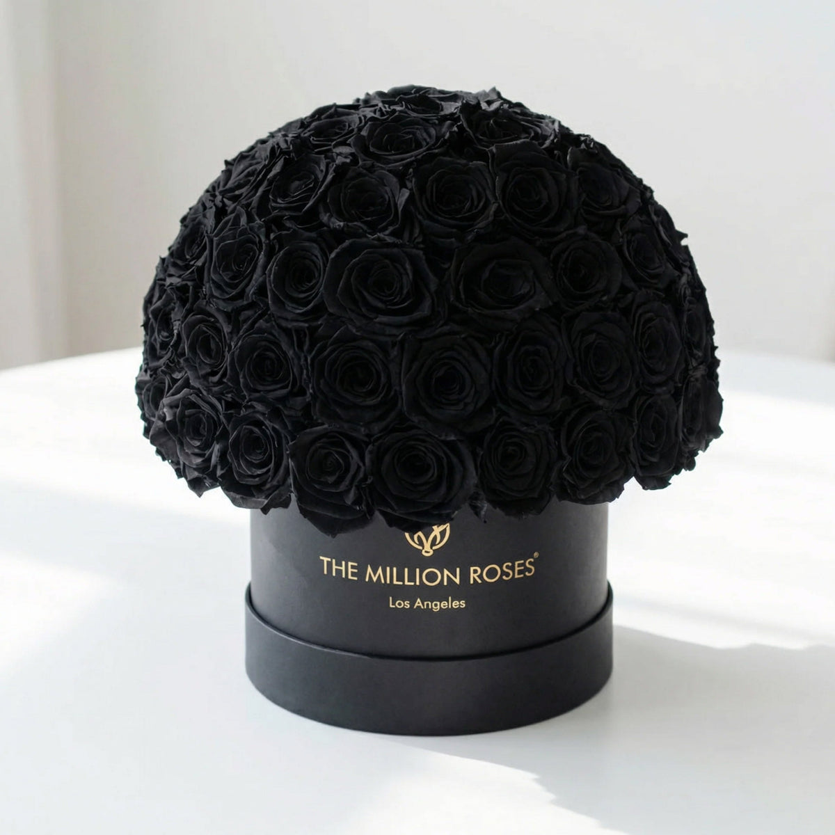 70-74 Black Preserved Roses in Dome Box
