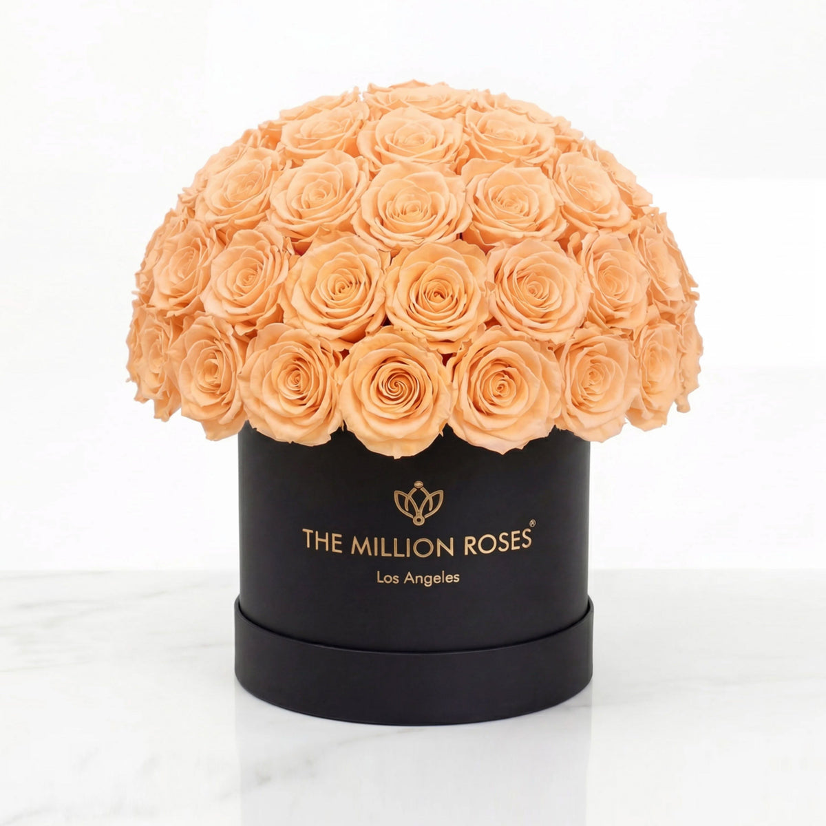 70-74 Peach Preserved Roses in Black Dome Box