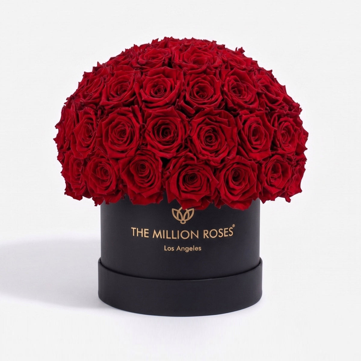70-74 Red Preserved Roses in Black Dome Box