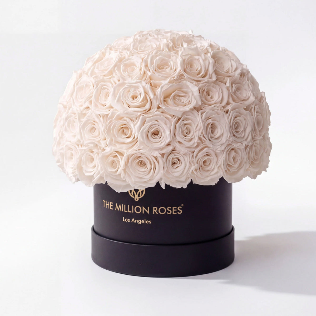 70-74 White Preserved Roses in Black Dome Box