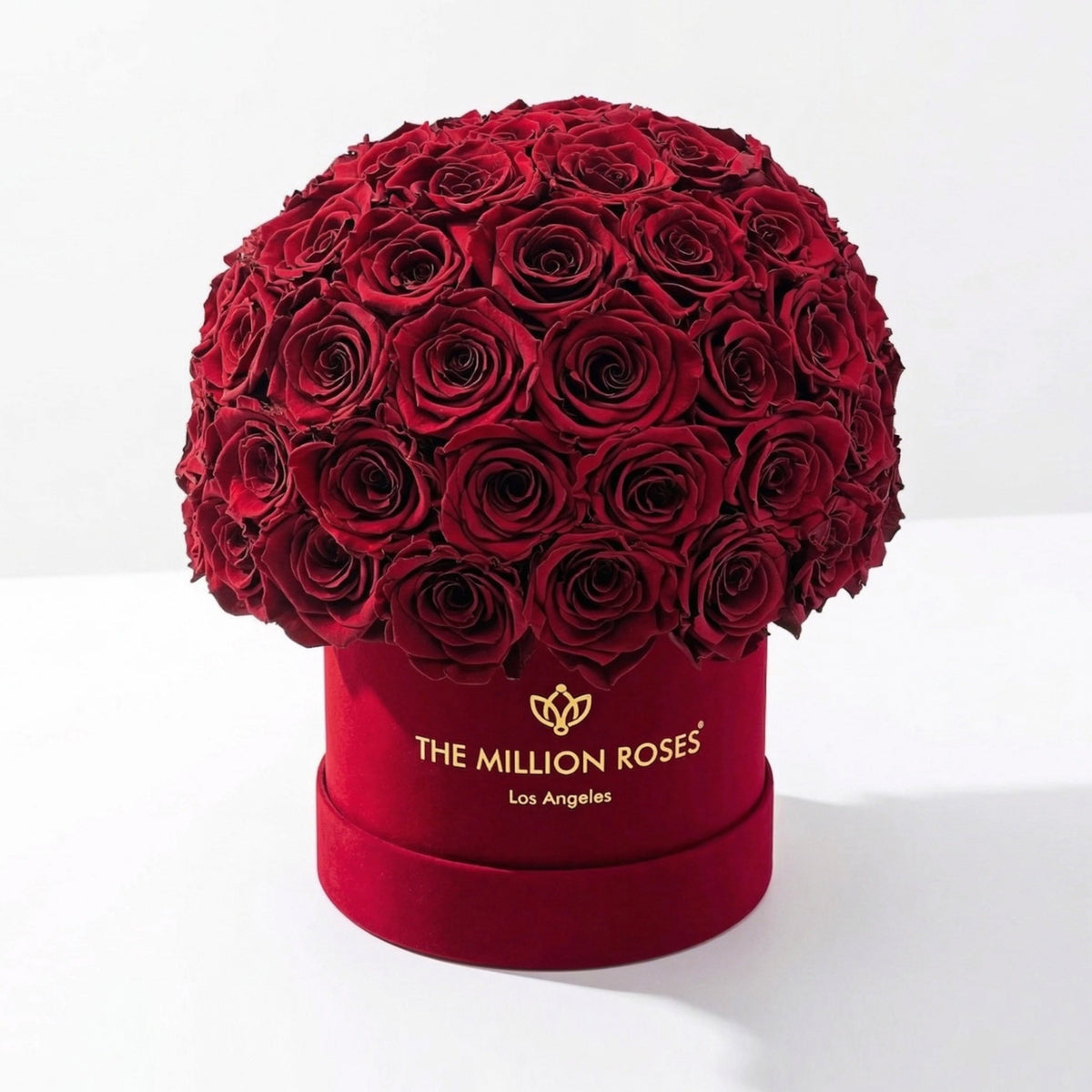 70-74 Burgundy Preserved Roses in Suede Dome Box