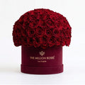 70-74 Red Preserved Roses in Suede Dome Box
