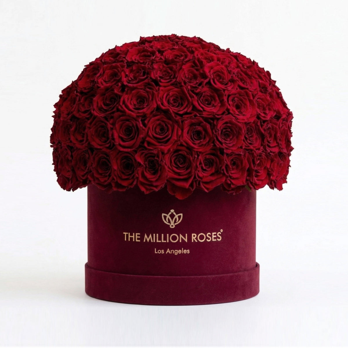 70-74 Red Preserved Roses in Suede Dome Box