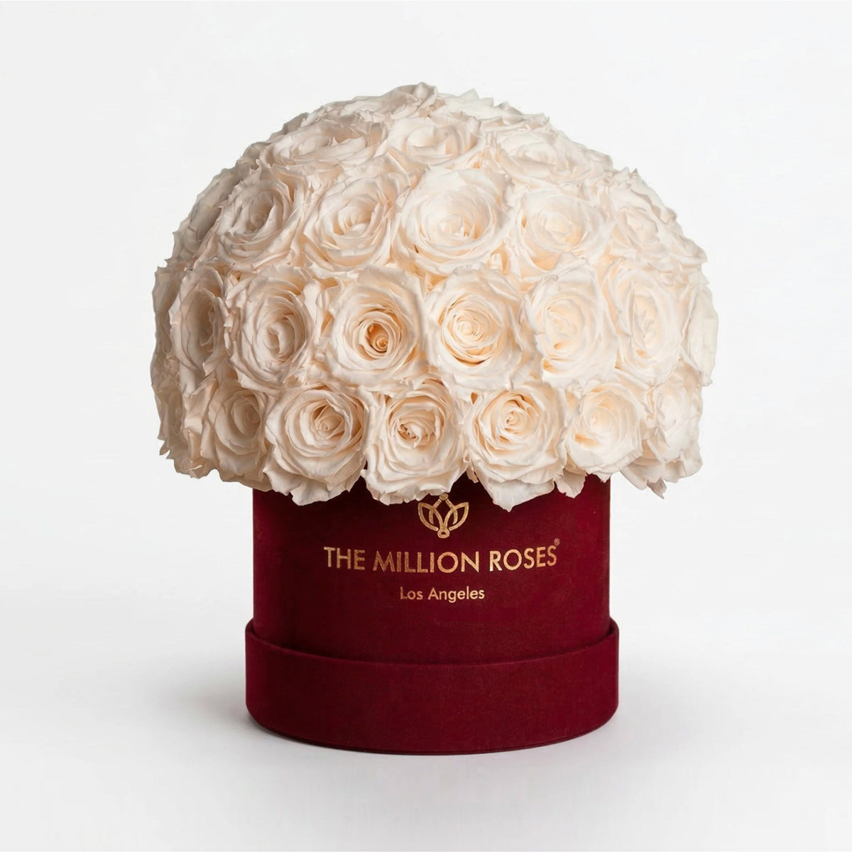 70-74 White Preserved Roses in Suede Dome Box