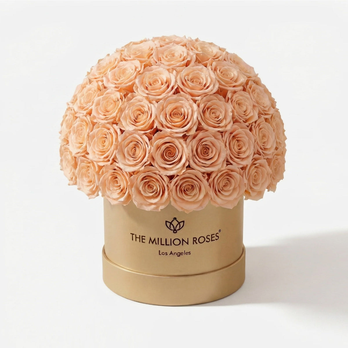 70-74 Peach Preserved Roses in Gold Dome Box