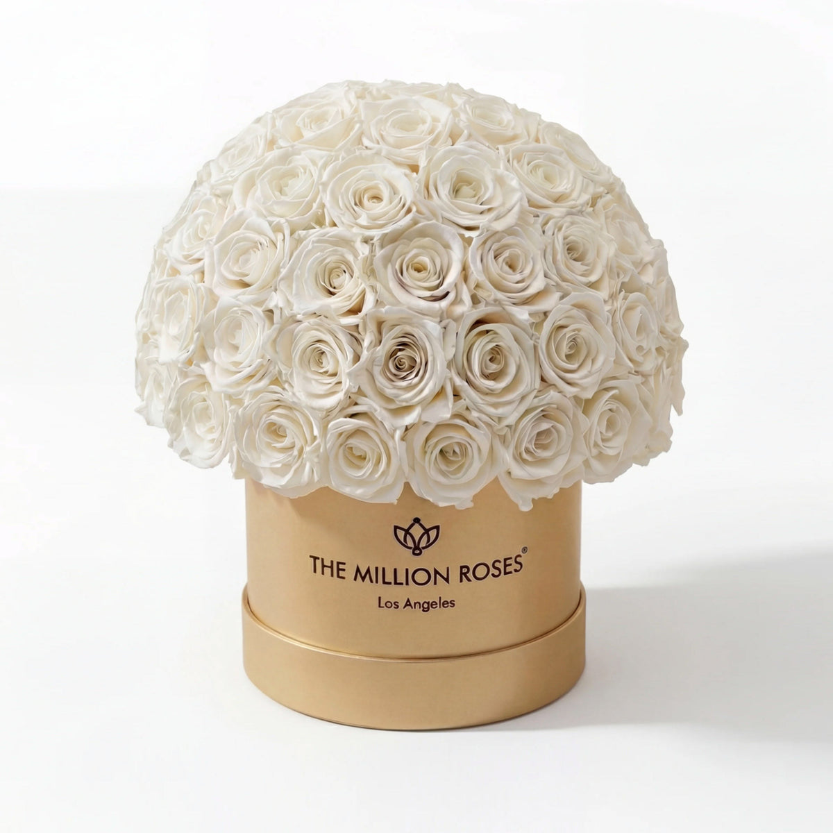 70-74 White Preserved Roses in Gold Dome Box