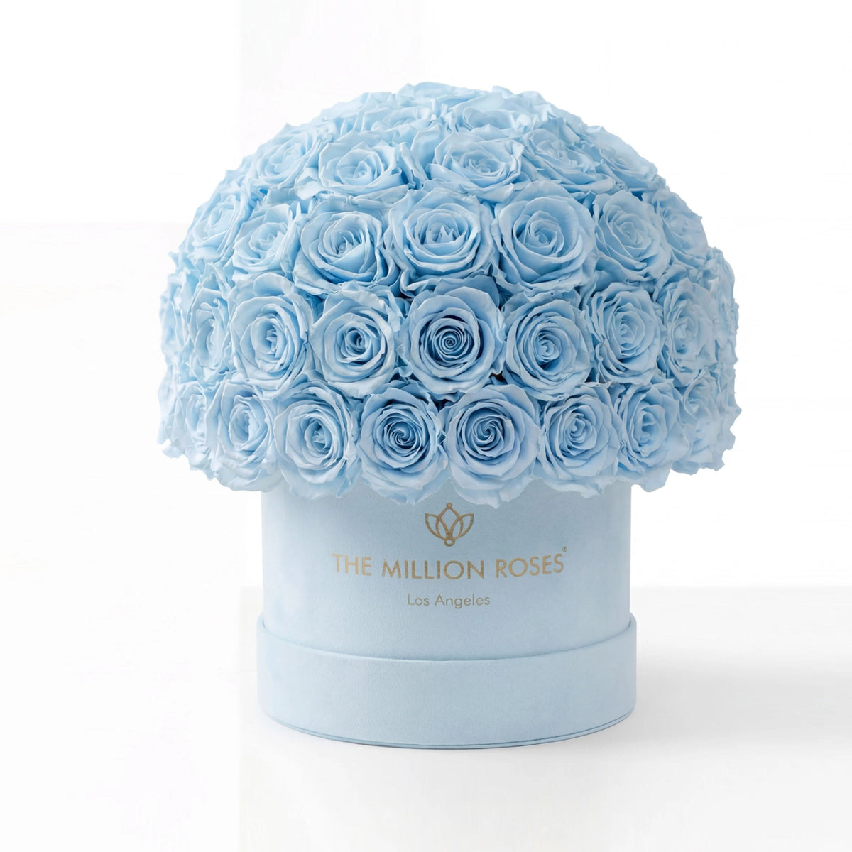 Light Blue Preserved Roses in Classic Blue Suede Dome Box