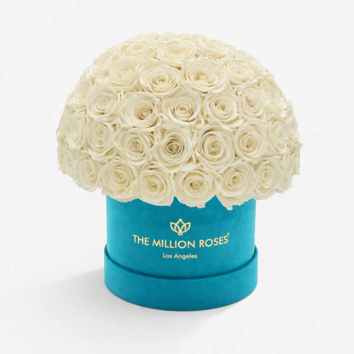 70-74 Green & White Preserved Roses in Suede Dome Box