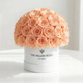 70-74 Peach Preserved Roses in White Dome Box