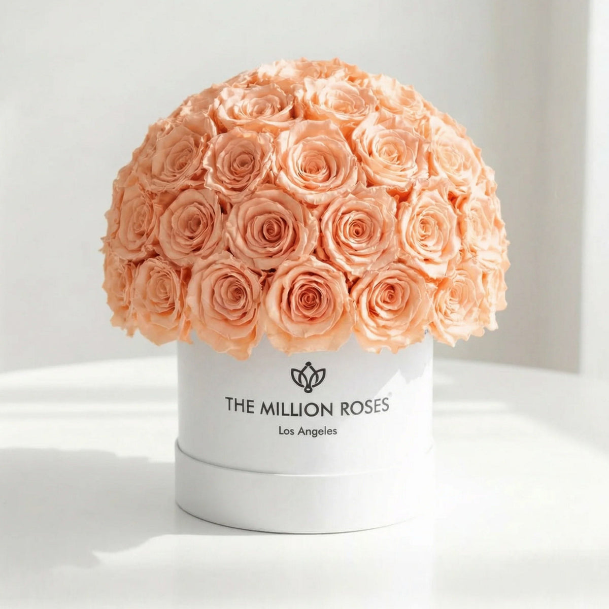 70-74 Peach Preserved Roses in White Dome Box