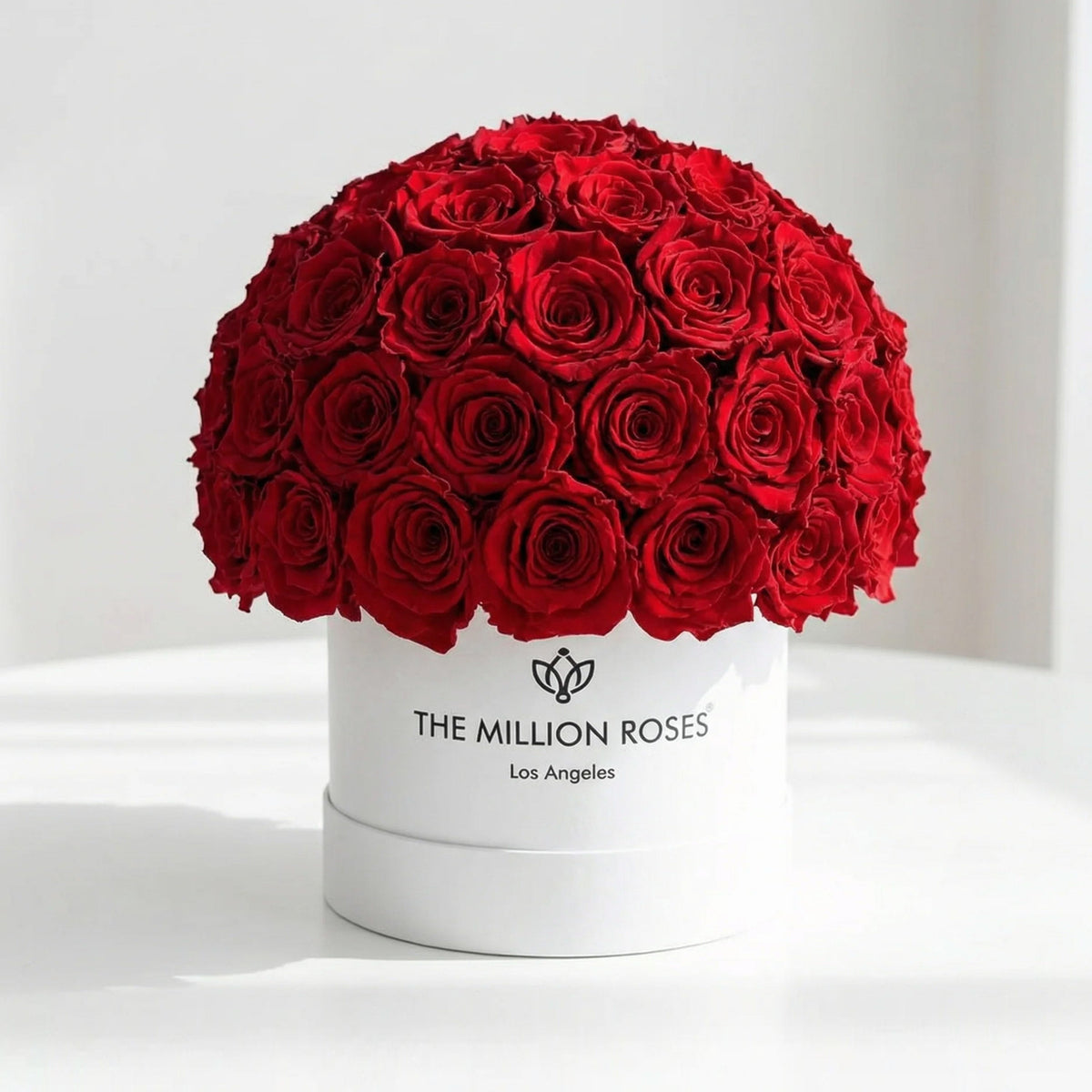 70-74 Red Preserved Roses in White Dome Box