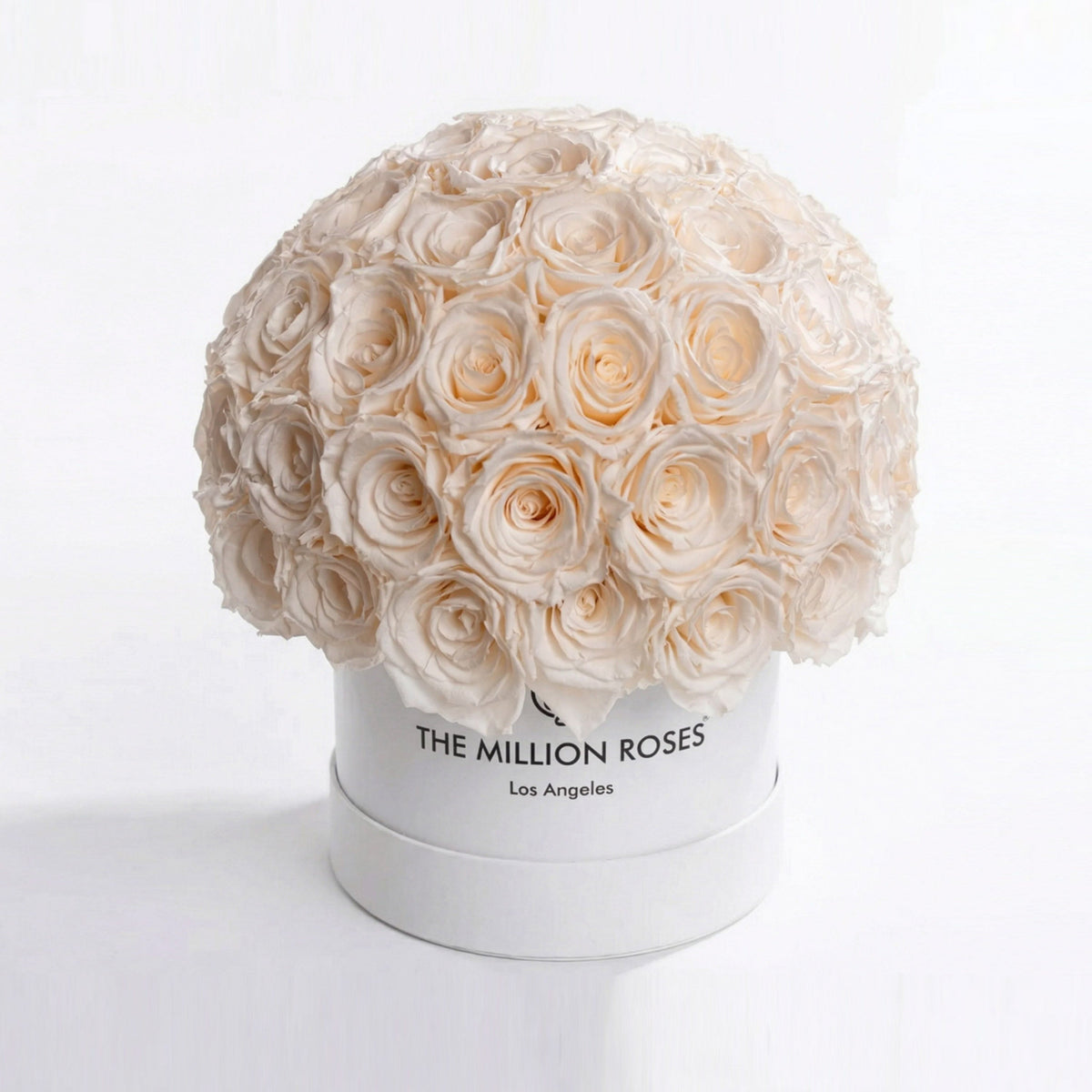 70-74 White Preserved Roses in White Dome Box