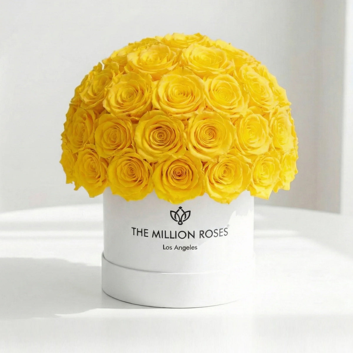 70-74 Yellow Preserved Roses in White Dome Box