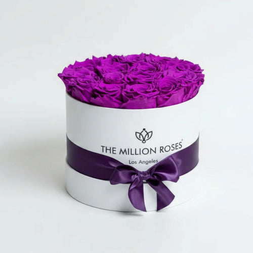14-15 Purple Preserved Roses Gift Box