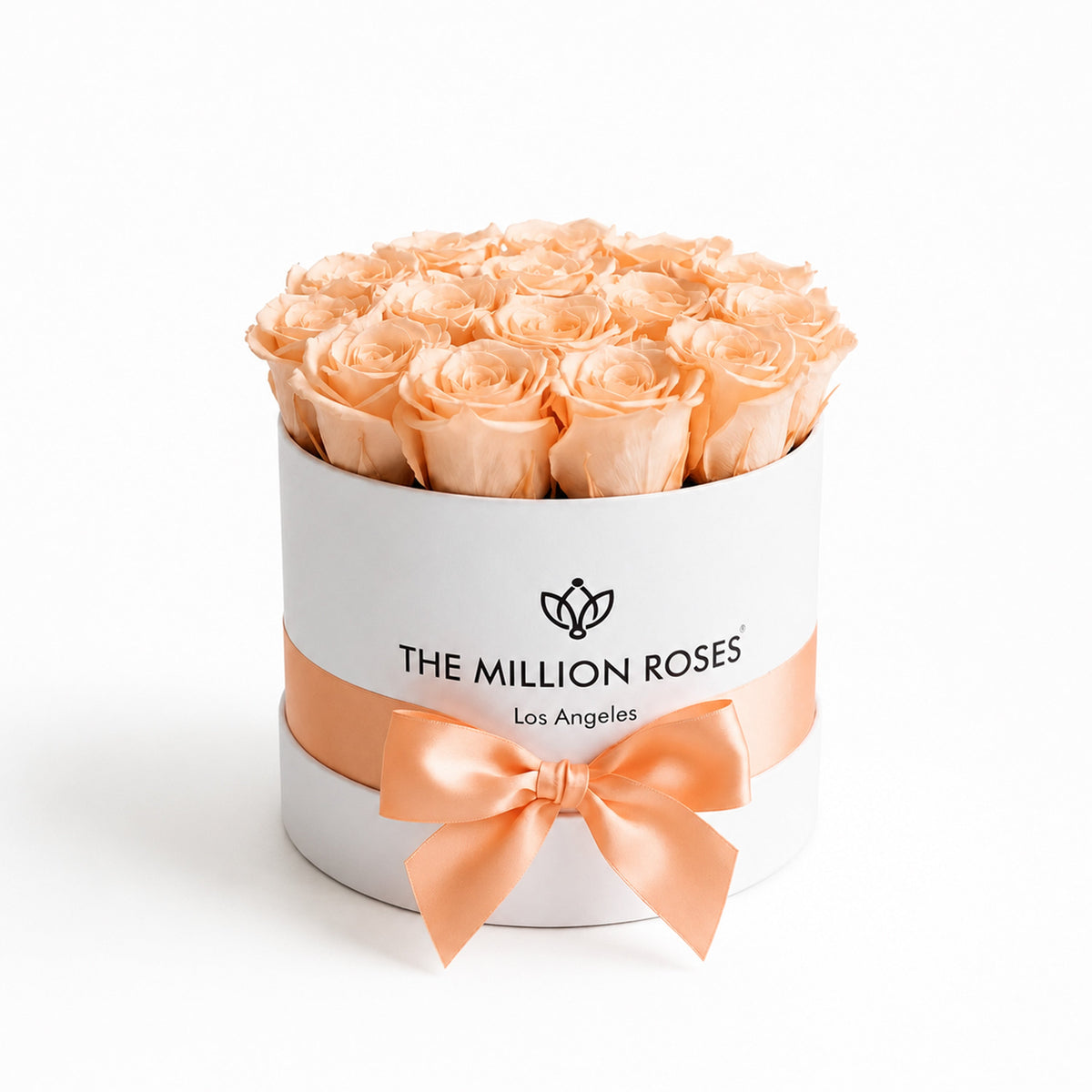 14-15 Peach Preserved Roses in White Gift Box