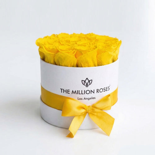 14-15 Yellow Preserved Roses in White Gift Box
