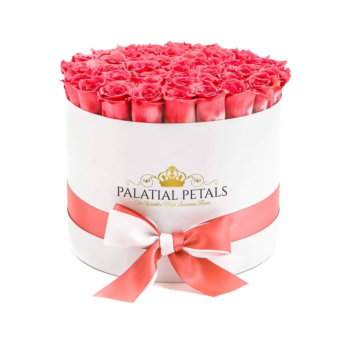 Large Coral Pink Preserved Roses in Round Gift Box